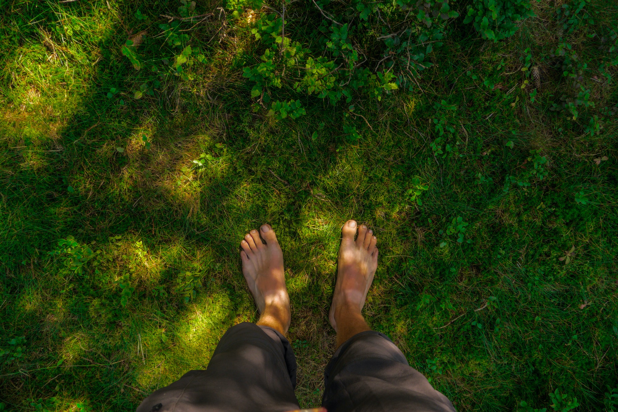 barefoot moss ground